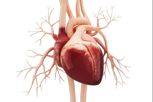 Viêm cơ tim cấp tính do Covid-19