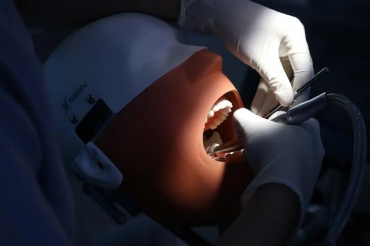 Dental Nursing: A Profession Dedicated to Healthy, Beautiful Smiles