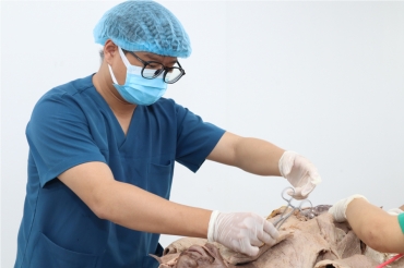 Phẫu tích trên thi thể hiến tặng - Thực hành ngoại khóa hè 2023