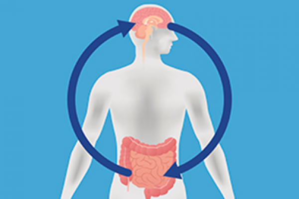 The Gut and the Brain - Guts and Brains