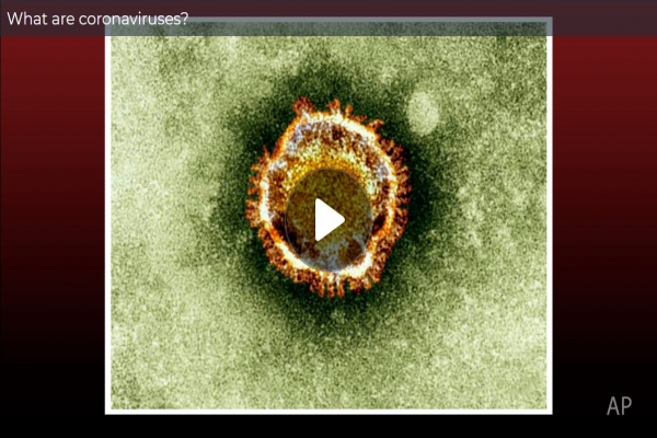 What are coronaviruses?