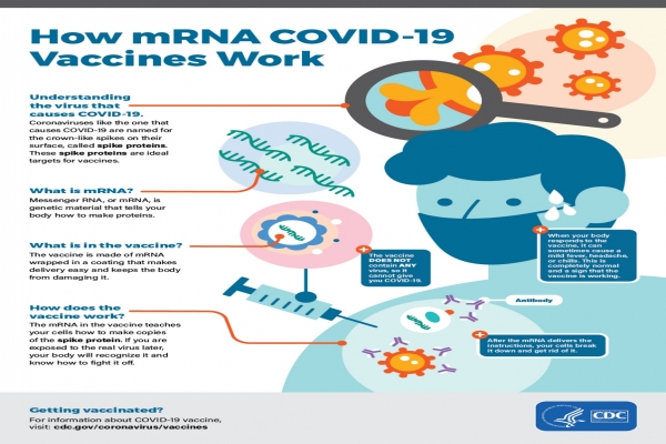 UPDATE KNOWLEDGE ON HOW VACCINE COVID-19 WORKS