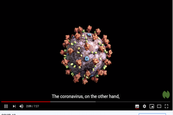 COVID-19: Điều gì xảy ra nếu bạn bị nhiễm coronavirus?