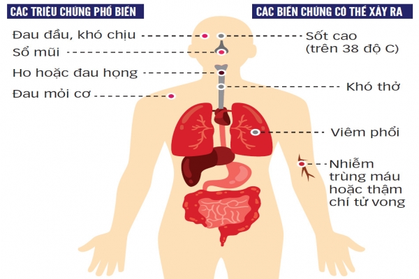 10 người dân Việt Nam hiến phổi cứu phi công Anh, ngành y tìm nguồn từ người chết não