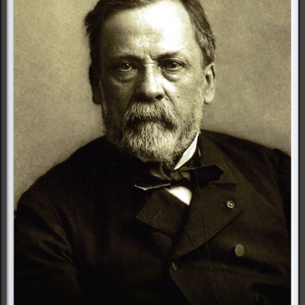 Lịch sử phát triển ngành Vi sinh vật Y học