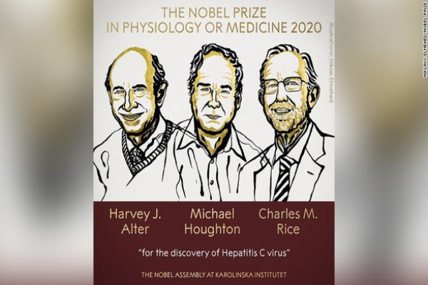 Nobel y sinh 2020 vinh danh khám phá về virus viêm gan C