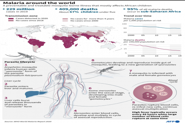 Vắc xin sốt rét đầu tiên trên thế giới được WHO phê duyệt