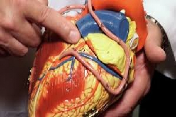 Scientists Create First Full-Size 3D Printed Human Heart Model